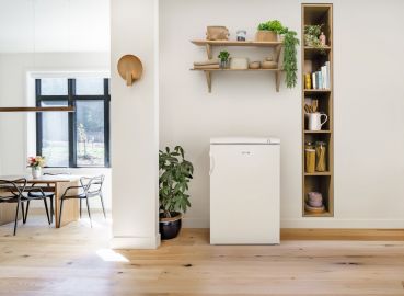 Gorenje F49DPW - Gefriergeräte - Weiß